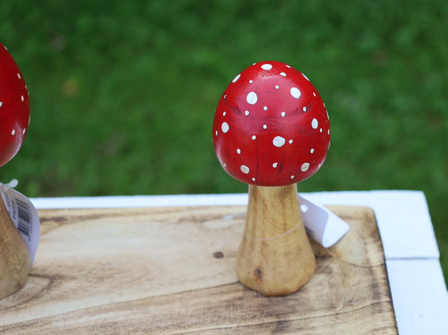 Decorazione autunnale in legno di agarico muscario