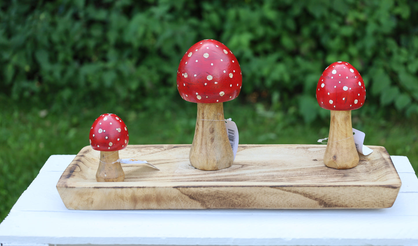Decorazione autunnale in legno di agarico muscario