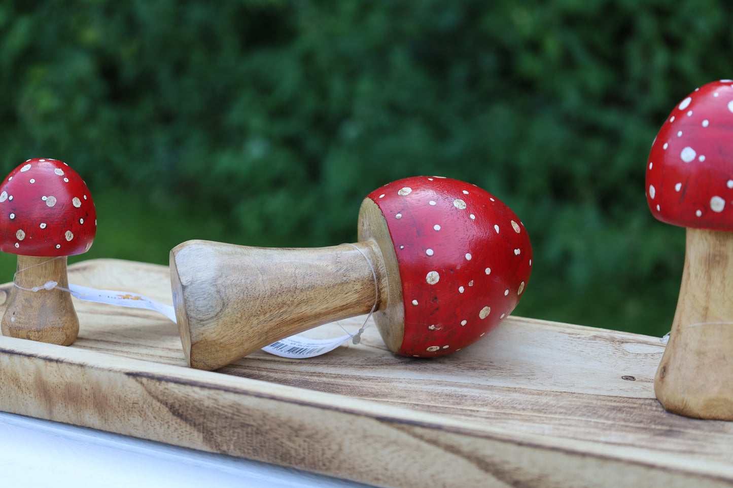 Decorazione autunnale in legno di agarico muscario