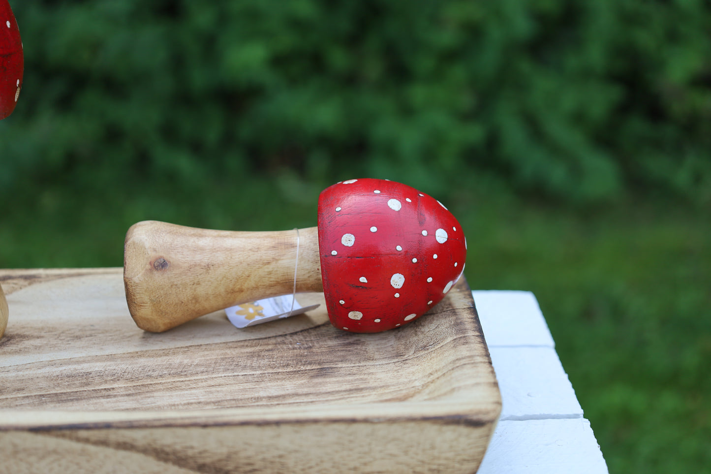 Decorazione autunnale in legno di agarico muscario