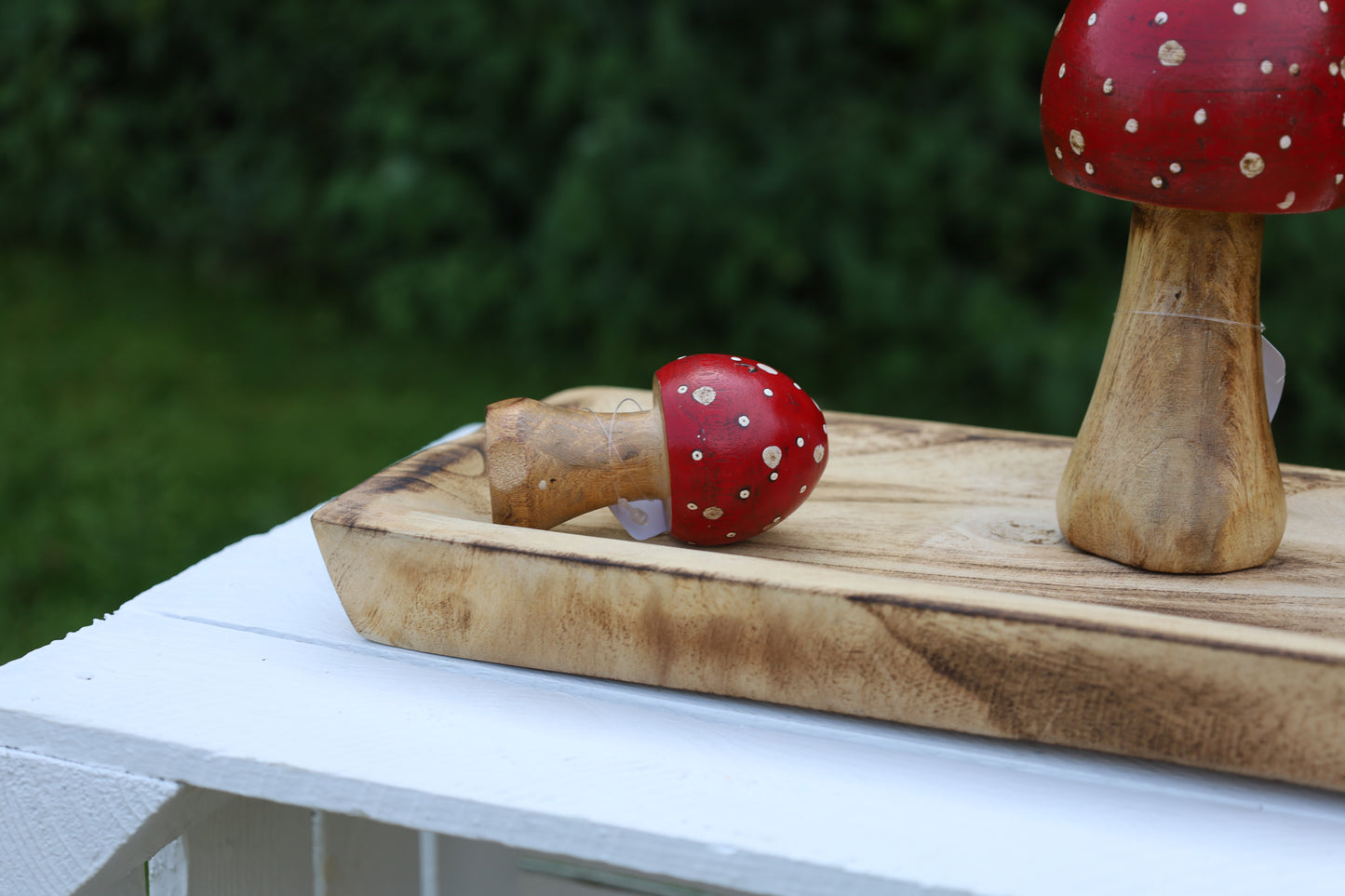 Decorazione autunnale in legno di agarico muscario