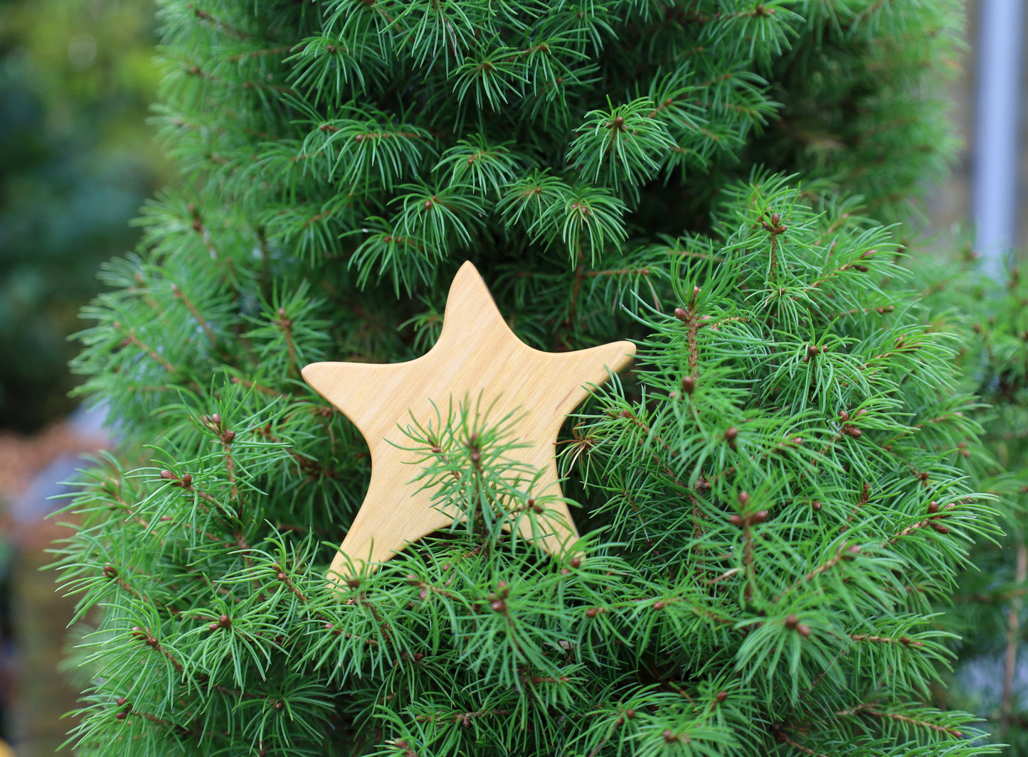 Set di 3 stelle in legno, decorazione natalizia