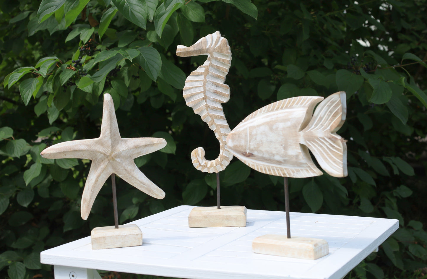 Graziosa stella marina in legno per decorazioni marittime 