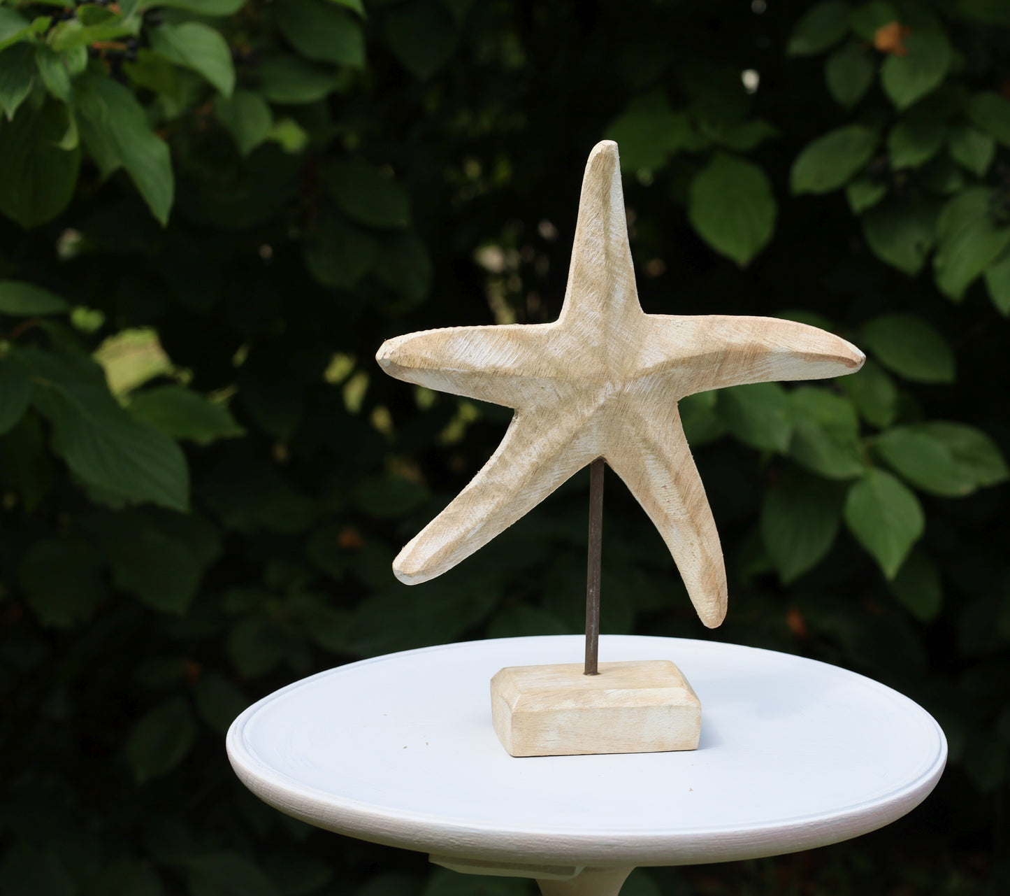 Graziosa stella marina in legno per decorazioni marittime 