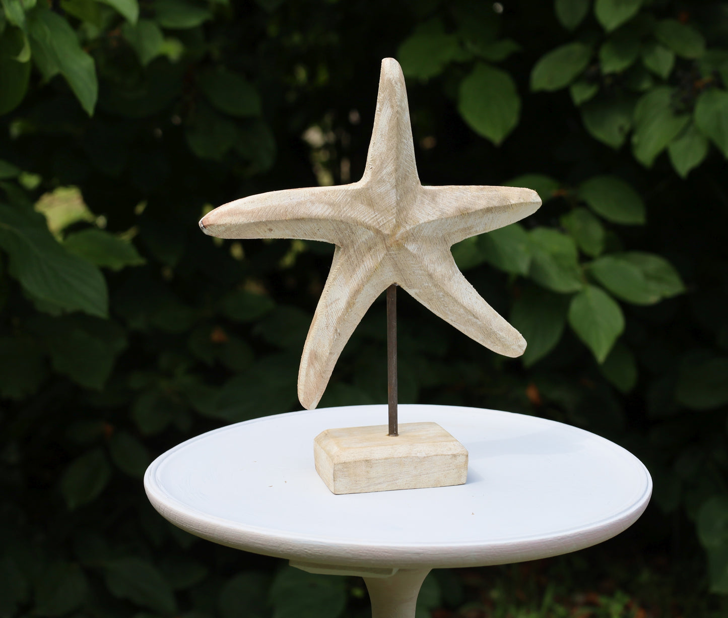 Graziosa stella marina in legno per decorazioni marittime 