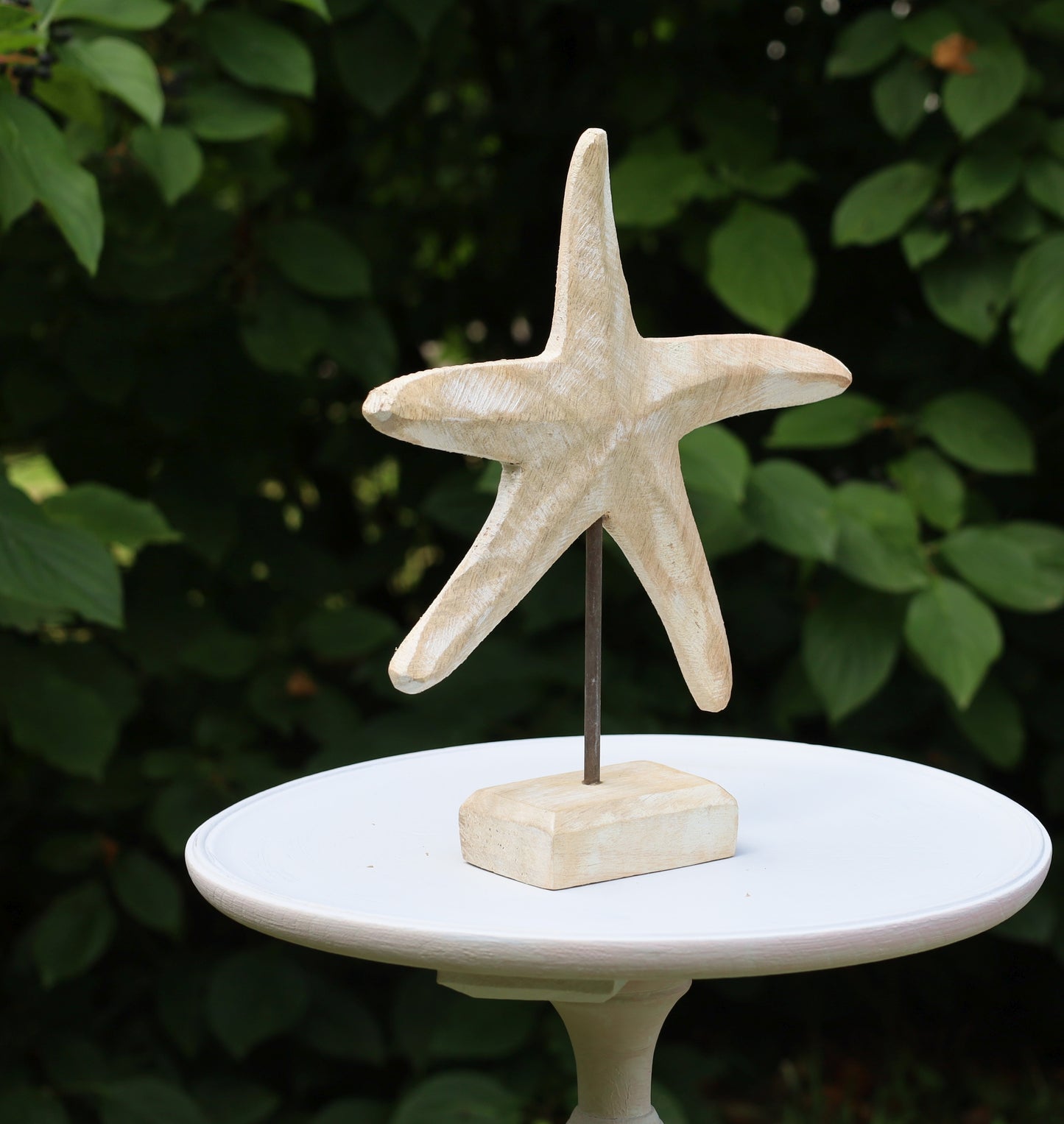 Graziosa stella marina in legno per decorazioni marittime 