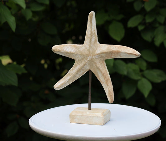 Graziosa stella marina in legno per decorazioni marittime 