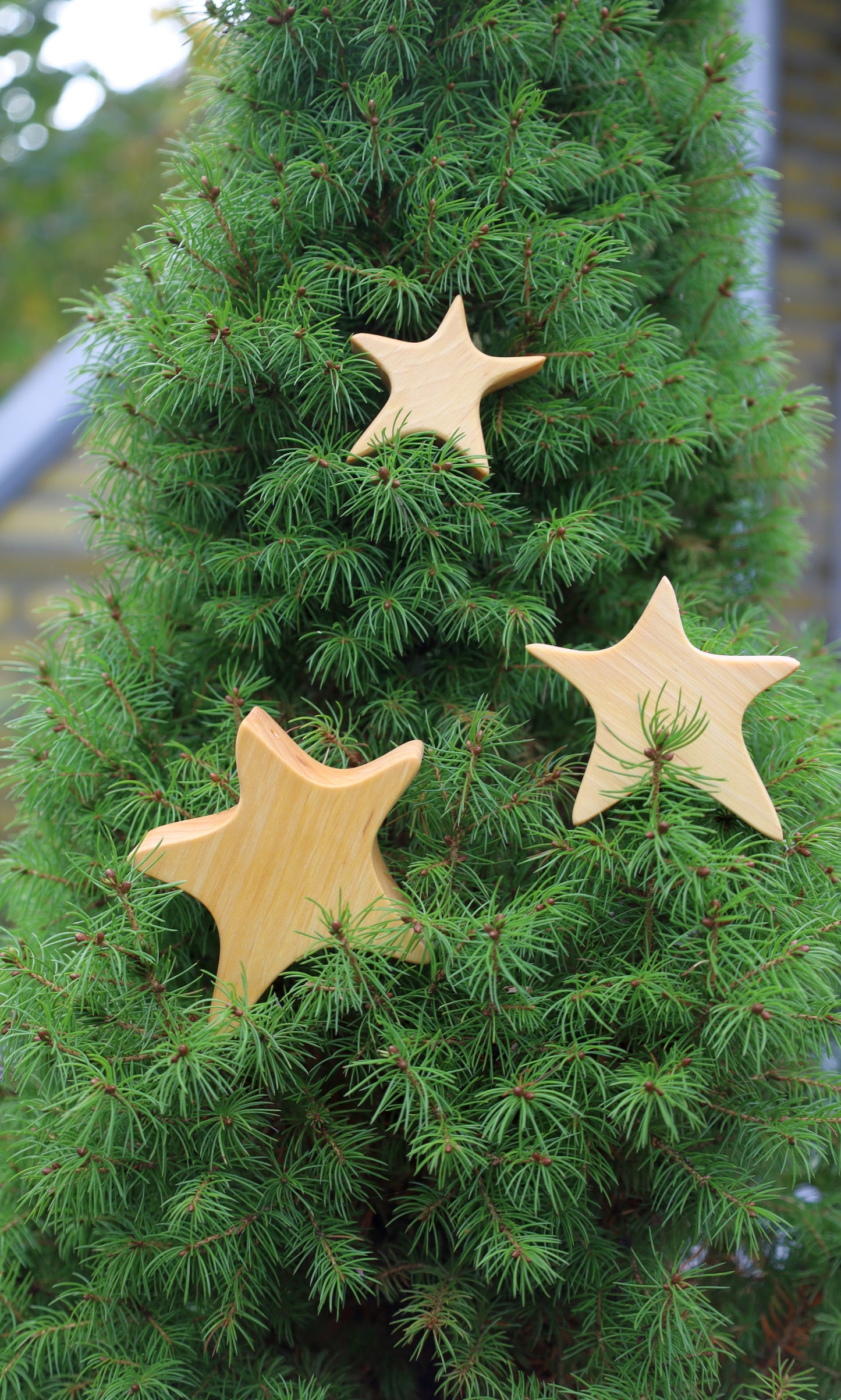 Set di 3 stelle in legno, decorazione natalizia
