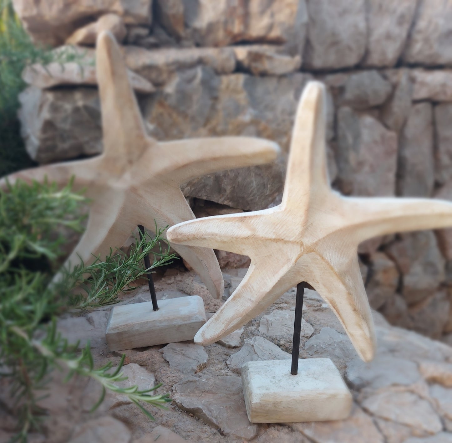 Graziosa stella marina in legno per decorazioni marittime 